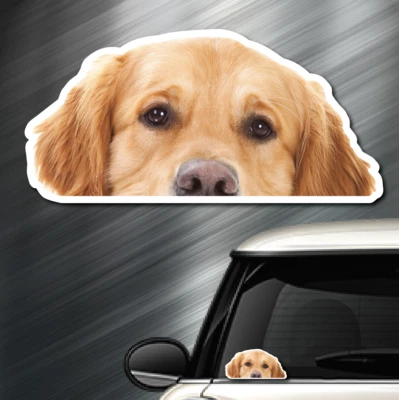 (1) Golden Retriever DOG Peeper Sticker Window Peep Decal Car Auto Puppy AKC NEW - Image 1 of 4