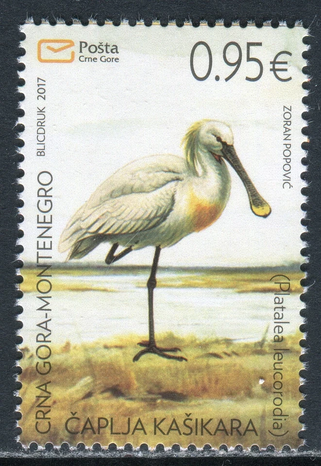 256 - MONTENEGRO 2017 - Pájaro - Espátula - MNH  Foto 1 de 2