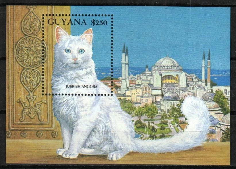 Sello de Guyana 2590 - gato angora turco Foto 1 de 1