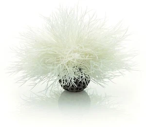 Oase Biorb Easy Plant White Lilly Small weighted plastic aquarium 5.25 Inch NEW - Picture 1 of 1