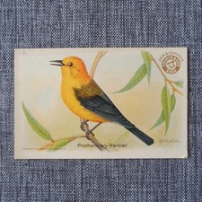 PROTHONOTARY WARBLER #7 Arm & Hammer Useful Birds of America THIRD Series Card