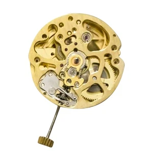 27mm Gold Skeleton 2004 Adjustment Radiation Pattern Automatic Watch Movement - Foto 1 di 4