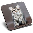 Square Single Coaster - Green Eyed Cat Kitten Tabby  #16956