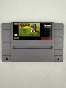 Irem Skins Game (Super Nintendo Entertainment System, 1992) SNES Cart Only Read - Picture 1 of 20