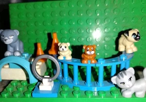 Lego Friends Pets Bear Cats Dogs Park - Picture 1 of 5