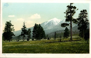San Francisco Mountains Arizona Detroit Publishing Postcard - Picture 1 of 2