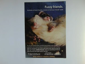 2005 FUZZY FERRET FRIENDS DR's FOSTER & SMITH Pet Supplies vintage art print ad - Picture 1 of 1