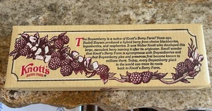 Vintage Knott’s Berry Farm Empty Jam Box - Picture 1 of 9