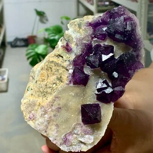1.51LB Rare natural transparent purple cubic fluorite crystal sample/China - Picture 1 of 17
