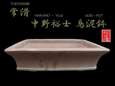 Japanese Bonsai pot TOKONAME UDEI Unglazed Rectangular Large W34cm NAKANO-YUJI - Image 1 of 4
