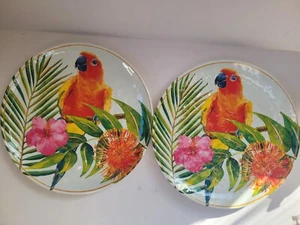 Plato de cena de plástico loro glamoroso tropical Pier 1 9" 2 piezas - Imagen 1 de 9