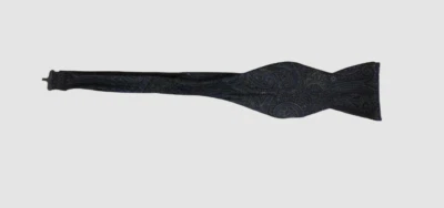 $50 Ryan Seacrest Distinction Hombres Azul Ajustable Paisley Auto Corbata Pajarita Foto 1 de 4