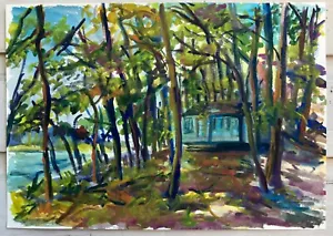 Cabina azul en Oxbow Lagoon 11.5" x 16.5" acuarela plein air - Imagen 1 de 5