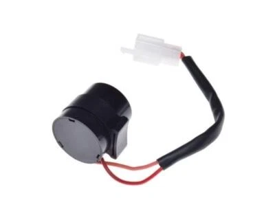 2-Poliges Blinkerrelais Blinker Relay Blinkgeber für China Roller 4-Takt 12V - Bild 1 von 3