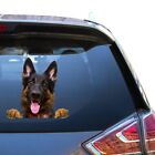 German Shepherd Stickers Decals German Shepherd Car Decal Dog Face For Car