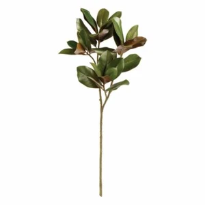 MAGNOLIA LEAF STEM 42.5" - Bild 1 von 3