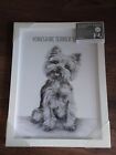 Next Dog Breed By Jane Bannon Framed Print - Yorkshire Terrier Framed Wall Art