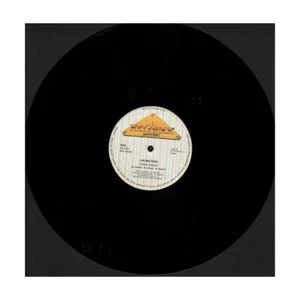 Los Beltogo Vinile 12" Amigo Miguel Nuovo NW10002 - Imagen 1 de 2