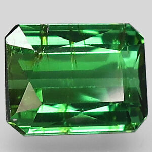 1.47Ct. Charming! Natural Neon Green Tourmaline Mozambique Octagon Unheated