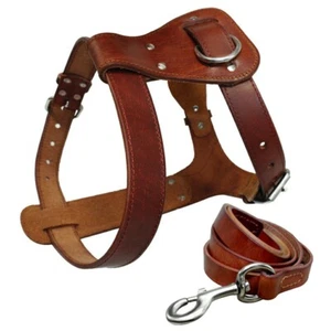 Genuine Leather Dog Harness and Leash Heavy Duty for Large Dogs Pitbull Bulldog - Picture 1 of 15