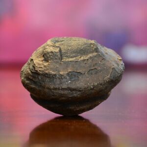 Beautiful Large Moqui Marble (Shaman Stone) from Utah 252 grams