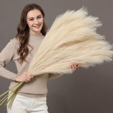Artificial Pampas Grass Home Accessories Decoration Use For Display And Crafting