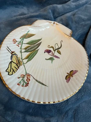 Plato de crema Wedgwood Nautilus perla flor insecto pájaro #12 forma de caparazón Foto 1 de 4
