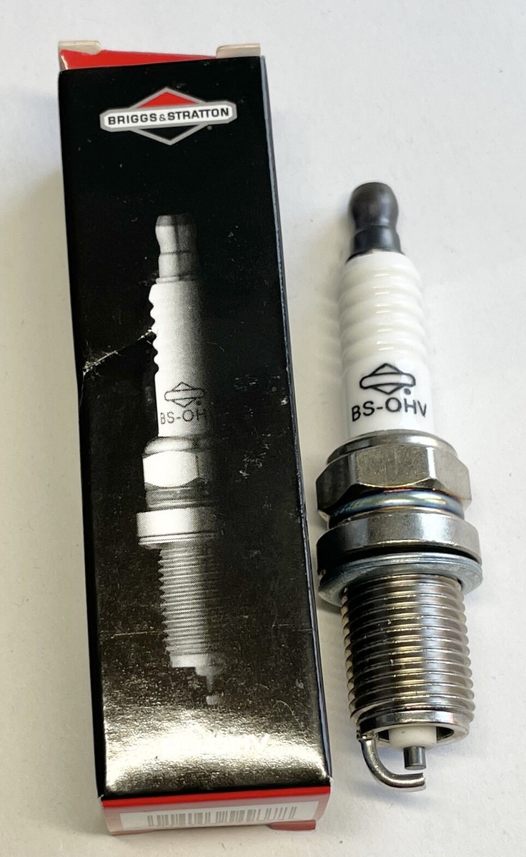 Briggs & Stratton Wellendichtring 391086S - Original Ersatzteil Für Benzinmotoren