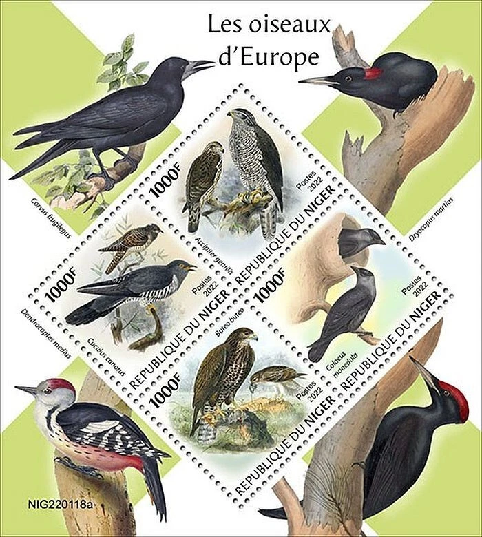 THE BIRDS OF EUROPE Birds/Bird  MNH 4v-Stamp Sheet #2166 (2022 Niger) — 第 1/1 张图片
