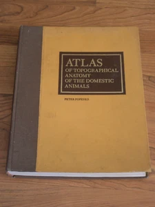 Atlas of Topographical Anatomy of the Domestic Animals Volume I, 2nd Edition - Picture 1 of 11