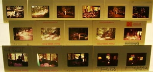 16 COLOR SLIDES IN THE BOX 35mm/2"x2" slides 1974 - Picture 1 of 1