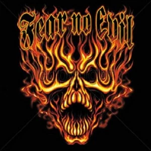 Fear No Evil-Fire Skull T Shirt You Choose Style, Size, Color Up to 4XL 10023 - Picture 1 of 11