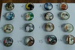 Klassische Katzen - Wählen Sie Ihre Favoriten - passend für Ingwer/Noosa 18 mm Druckknopf Schmuck - Bild 1 von 17