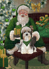 Christmas Irish Santa With Gifts Dogs Cats Photo Jigsaw Puzzle With Tin