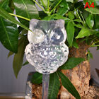 Glass Plant Flowers Water Automatic Self Watering Devices Bird Star Heart Design