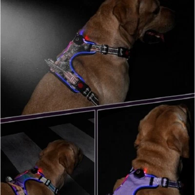 Dog Harness No-Pull Pet Adjustable Control Reflective No-Choke LED Light Vest - Image 1 of 4