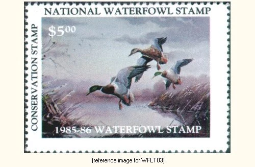 D2K Waterfowl USA Ltd Stamp 1985 $5.00 - Image 1 of 1