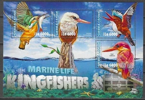 Sierra Leone 2016 Wildlife Fauna Birds Vögel Animal Kingfisher compl MS MNH - Picture 1 of 1
