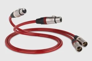 QED REFERENCE ANALOGUE XLR 40 CAVO BILANCIATO NUOVO GARANZIA ITALIA - Foto 1 di 1