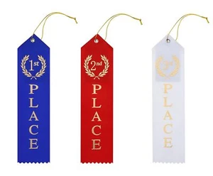 12 Pcs Winner Award Ribbons 1ST 2ND 3RD Place Prizes Achievement Ribbon with ... - Picture 1 of 1