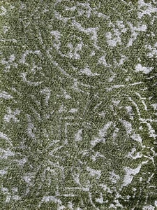 Lee Jofa Broglie Leaf Fabric Remnant 24x24" - Picture 1 of 3