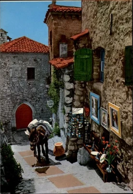 Donkey Nice France vintage postcard y199 - Image 1 of 2