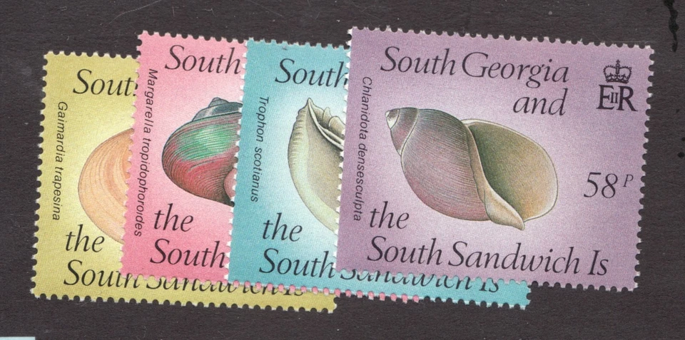 1988 South Georgia Sc# 127-30, Marine Life, Sea Shells. MNH Cv$5.90 - Image 1 of 1