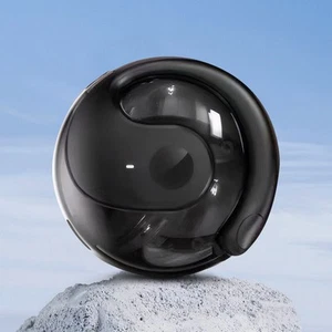 Auricolari Traduzione Wireless BT AI 144 Lingue Auricolari Traduzione Tempo Reale - Foto 1 di 12