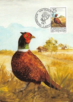 Card Maximum FDC Liechtenstein Hunting II 1990 September Mk 97 n2 - Image 1 of 2
