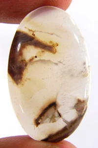 23.35 Ct Natural Pseudomorph Stick Agate Gemstone Cabochon Wire Wrap Gem - 63161 - Picture 1 of 5