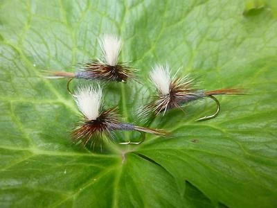 MAGIC-FLIES 4 pz. paracadute ADAMS mosca secca trota di torrente trota arcobaleno trota Döbel trota