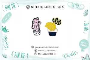 Confezione di spille succulente | distintivo spilla cactus in vaso | regali succulenti - Foto 1 di 16