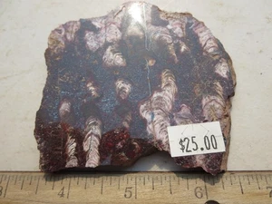 746 FACE POLISHED MARY ELLEN JASPER SLAB WITH FOSSIL STROMATOLITES. BIWABIK, MN - Picture 1 of 3