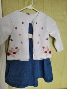 EUC Vintage Gymboree Strawberry Patch Denim Dress and Embroidered Sweater Size 4 - Picture 1 of 4